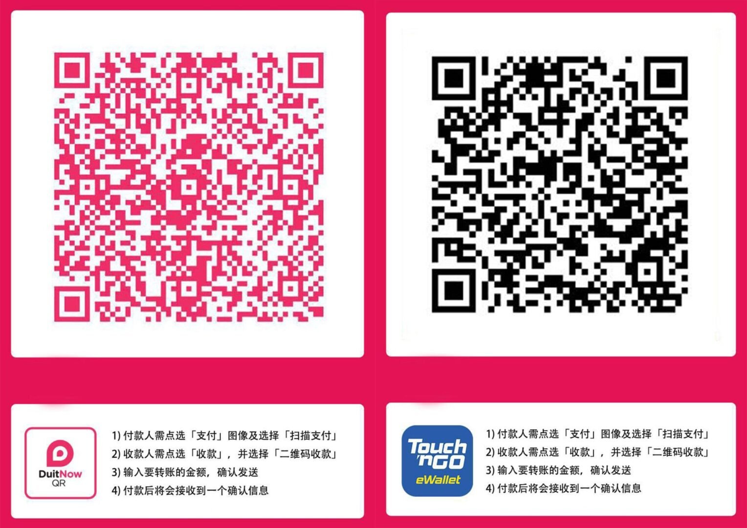 TNG DuitNow 支付