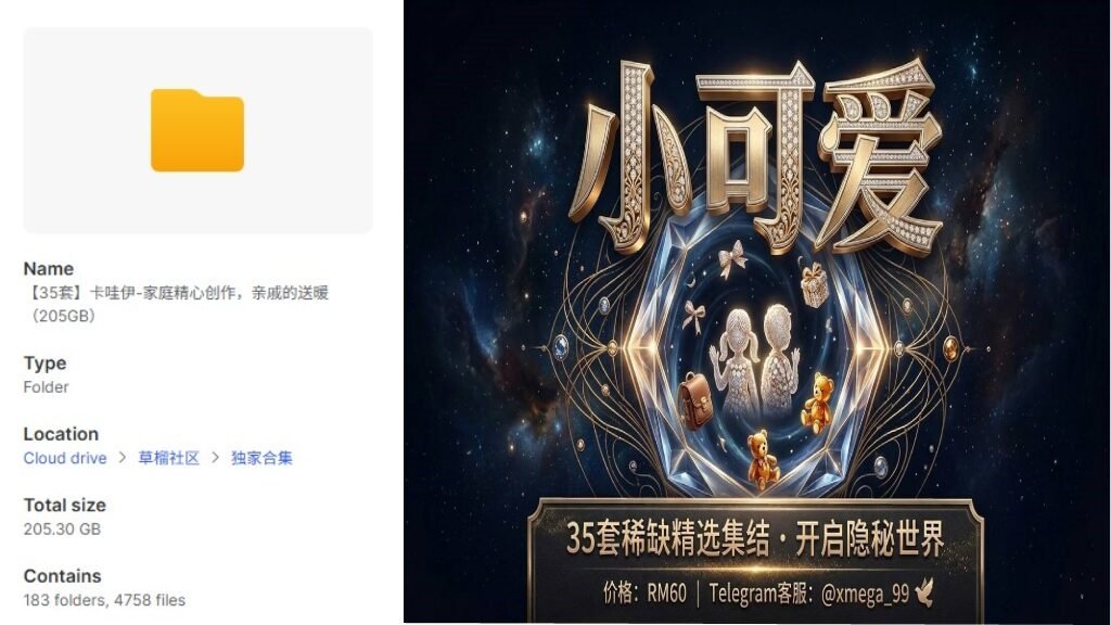 MEGA青春档案合集(200GB)|高人气分类资源包一次打尽