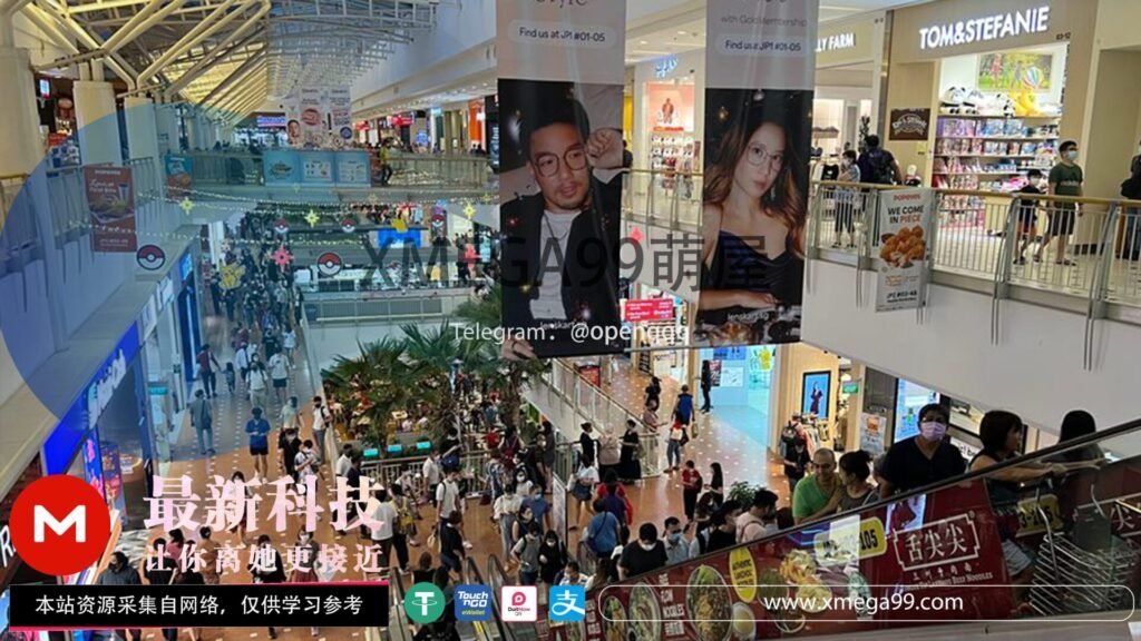 【暗角里的风景】SG Shopping Mall Show，新加坡商场（42GB）